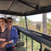 Mikumi Safari – Guests observing elephants from a safari vehicle